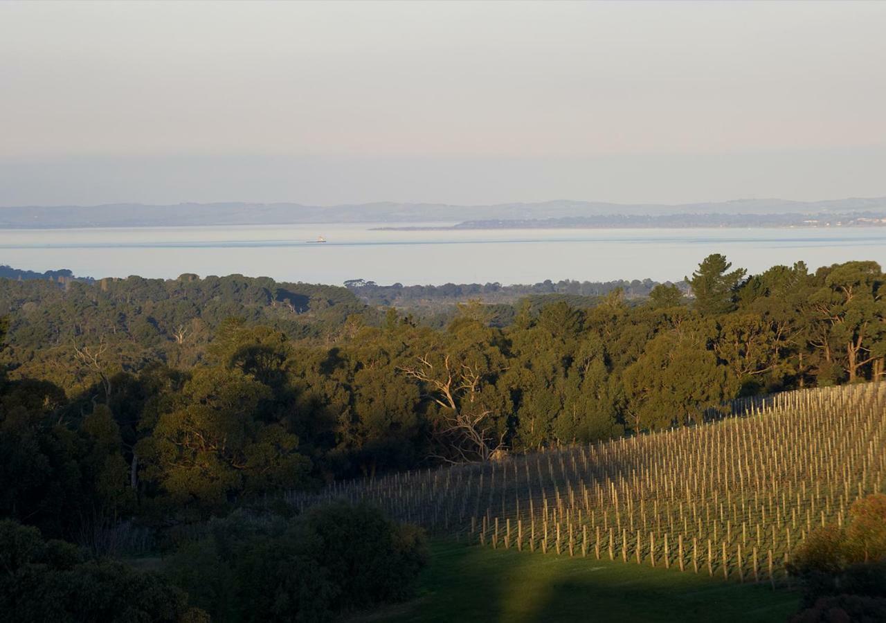 Hotel Port Phillip Estate Red Hill South Zewnętrze zdjęcie